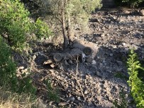 YAĞAN - Dolu Ve Sağanak Yağış Erzurum'da Sele Neden Oldu