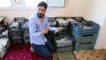 SANAT TARIHI - Dünyanın Dört Bir Yanına Mozaik Ve Tablo Gönderiyor