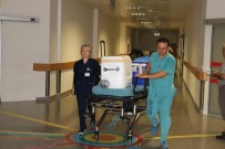 KAŞÜSTÜ - Vurularak Hayatını Kaybeden Gencin Organları 3 Kişiye Umut Oldu