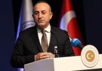 ÇAVUŞOĞLU - Bakan Çavuşoğlu'nun Estonya Temasları