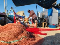 AMATÖR BALIKÇI - Balıkçılar Yeni Sezonda Lüfer Ve Hamsiden Umutlu