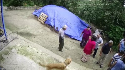 Başına Tahta Kazıkla Vurduğu Yeğenini Yaraladı