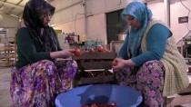 SAKARYA NEHRI - Belediyenin Ürettiği Osmaneli Salçasına Almanya'dan Talep