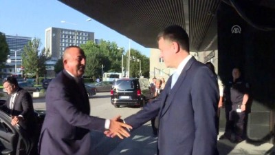 Dışişleri Bakanı Çavuşoğlu, Estonyalı Mevkidaşı Reinsula İle Görüştü