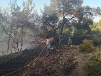 Eskişehir'de Çıkan Orman Yangını Büyümeden Söndürüldü