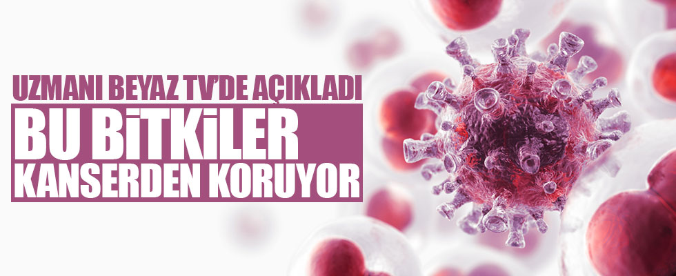 Prof.Dr.Saraçoğlu'ndan kansere karşı koruyucu bitkileri açıkladı