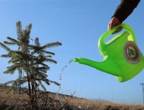 ORMAN YANGıNLARı - 'Rekor' etkinliğinde 1 milyon kişiyle 11 milyon fidan dikilecek