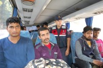 HALIÇ - Tekirdağ'da 36 Kaçak Göçmen Yakalandı