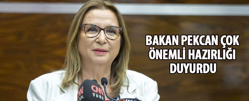 Ticaret Bakanı Pekcan: İhracat Ana Planı'nda 17 hedef ülke ve 5 hedef sektör belirledik