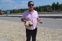 PATENT - Çevre Yolunda İlginç Görüntü