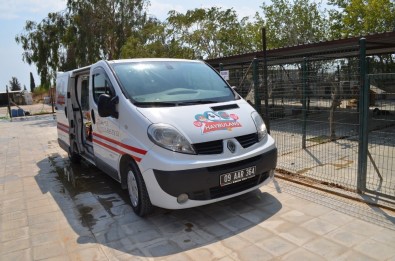 Didim'de Sokak Hayvanlarının Bir Ambulansı Oldu