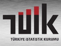 Hanelerin ulaştırma harcamalarında 'araç alımı' başı çekti