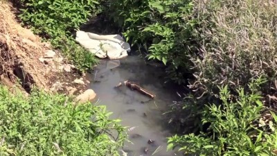 Hassa'da Su Kanalına Akan Lağım Ve Kanalizasyona Tepki