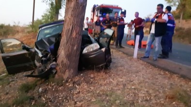 İzmir'de Otomobil Ağaca Çarptı Açıklaması 3 Ölü, 1 Yaralı