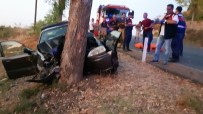 SERBEST BÖLGE - İzmir'de Otomobil Ağaca Çarptı Açıklaması 3 Ölü, 1 Yaralı
