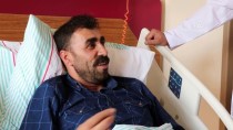 MEHMET TOPUZ - Kanserden Şüphelenilen Hastanın Akciğerinden Böcek Çıktı