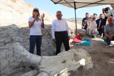 Kayseri'de 7 Buçuk Milyon Yıllık 'Choerolophodon' Fosili Bulundu
