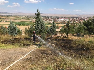 Şuhut'taki Orman Yangını Büyümeden Söndürüldü