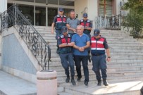 Balıkesir'deki Otobüs Faciasında 2 Şoför Tutuklandı