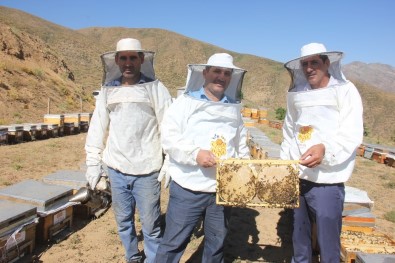 Bingöl'de En Tatlı Hasat