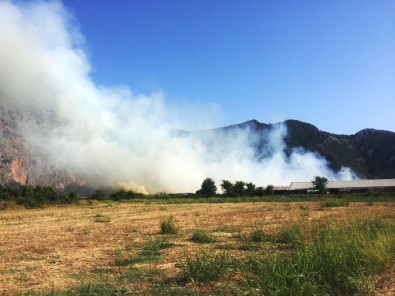 Dalyan'daki Yangına Havadan Karadan Müdahale Ediliyor
