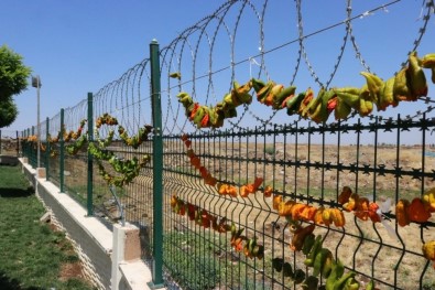Diyarbakır'da Kurutulan Biberler Renkli Kareler Oluşturdu