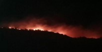 Elazığ'da orman yangını! Haberi