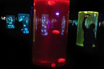 MEKSIKA - Güney Afrika'da Pembe Denizanası Görüldü