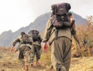 Hakkari'de PKK'lı 2 terörist teslim oldu