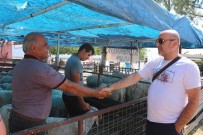 DAVUTLAR - Kuşadası Belediyesi'nden Kurban Bayramı Hazırlıkları