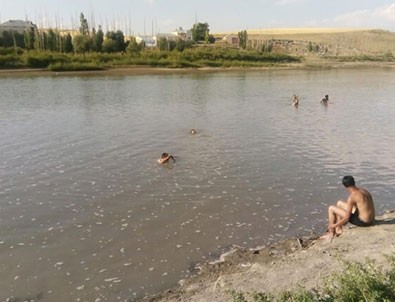 Murat Nehrine giren 3 çocuk boğuldu