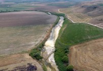 SAKARYA NEHRI - (Özel) Yaz Soğanı Hasatı Başladı