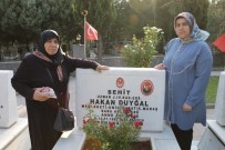 UZMAN ÇAVUŞ - Şehit Ailelerinin AYM'ye Öfkesi Dinmiyor