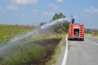 Sürücülerin Attığı İzmarit Makilik Alanı Yaktı