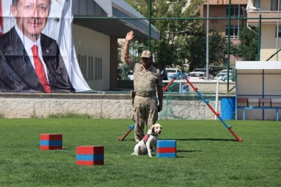 30 Ağustos Zafer Bayramı Gösterilerine Eğitimli Köpeklerin Gösterisi Damga Vurdu