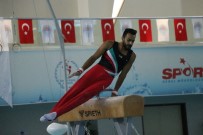 ÜMIT ŞAMILOĞLU - Artistik Cimnastik Dünya Kupası Başladı