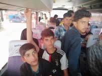 GÜLPıNAR - Çanakkale'de 106 Mülteci Yakalandı