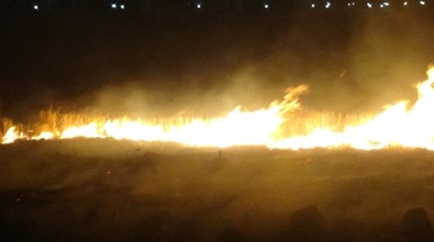 Diyarbakır'da Anız Yangını