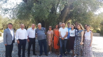 İlber Ortaylı, Kırkağaç'ta Zeytinlik Satın Aldı