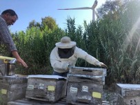 KEÇİ - Rüzgar Enerji Santralinde Doğal Bal Üretimi