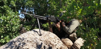Siirt'te Terör Örgütü PKK'ya Büyük Darbe, 8 Ayda 23 Terörist Etkisiz Hale Getirildi