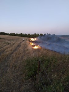 Yenişehir'de Çamlık Alanda Çıkan Yangın Söndürüldü