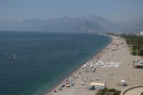 DENIZANASı - Antalya Körfezi'ne Ulaşan Denizanaları Besin Eksikliğinden Ölüyor, Tehlike Yok Oluyor