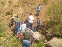 Kayalıklarda Mahsur Kalan Şahıs, Ekipler Tarafından Kurtarıldı Haberi