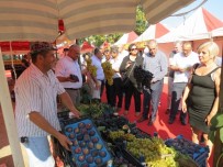 AK PARTİ MİLLETVEKİLİ - Mudanya'da Yöresel Ürünler Sergiye Çıktı