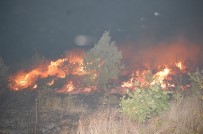 ERKAN KARAHAN - Tekirdağ'da Korkutan Yangın Açıklaması Yüzlerce Çam Alev Alev Yandı