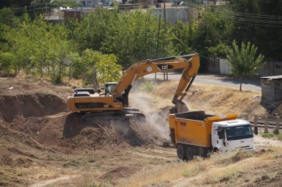 HDP'li Belediyeden Ağaç Katliamı