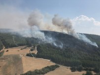 OĞLANANASI - İzmir'de Ağaçlandırma Sahasında Yangın