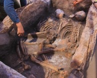 ANTROPOLOJI - Kazı Çalışmasında 5 Bin Yıllık İnsan İskeletleri Çıktı