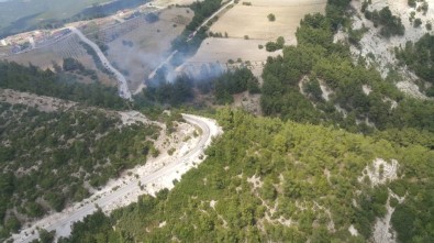 Sarayköy'de Ormanlık Alanda Yangın Çıktı